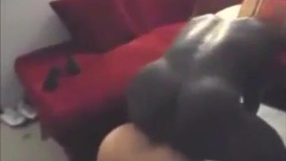 жена с негром
жена под негром
порно жена под негром
порно жена с негром
измена жены с негром
порно негр трахает жену
порно негр ебет жену
порно русская жена изменяет с негром
русская жена с негром
негры ебут чужих жен
негры ебут жену
негр трахнул жену
жена трахается с негром
жена изменяет мужу с негром
жена с негром секс
порно жена хочет негра
порно жены с негром
негр трахает жену
жена с неграми
муж жена и негр порно
жена с негром русское
секс жены с негром
негр и жена секс
порно с негром жена
секс жены и негра
секс с женой негр
негр трахает чужую жену
порно жену с негром
жена секс с негром
порно с женой и негром
негр трахает мою жену
секс измена с негром
секс с негром жена
жены с негром порно
первый секс жены с негром
порно жен с негром
порно русских жен с неграми
жены с неграми
жена с негром порно
отдал жену негру
